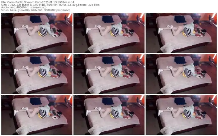 cams-fer1-01-13-2026-19-03-44