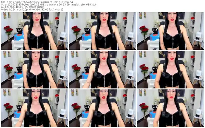 cams-rhubyts-01-13-2026-16-19-17