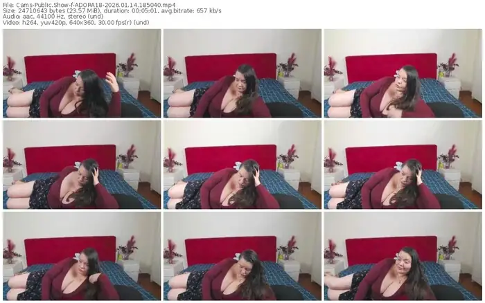 cams-adora18-01-14-2026-18-50-40