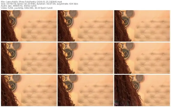 cams-asshantiy-01-15-2026-18-28-05