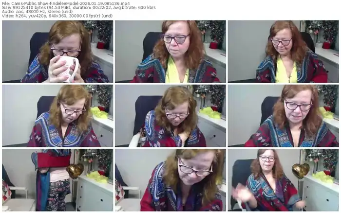 cams-adeleemodel-01-19-2026-08-51-36