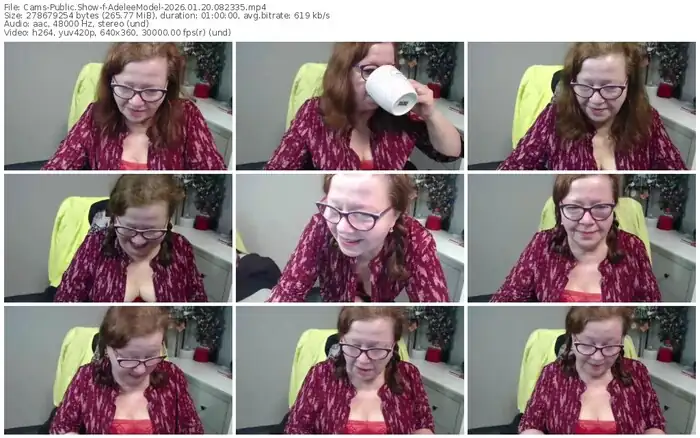 cams-adeleemodel-01-20-2026-08-23-35