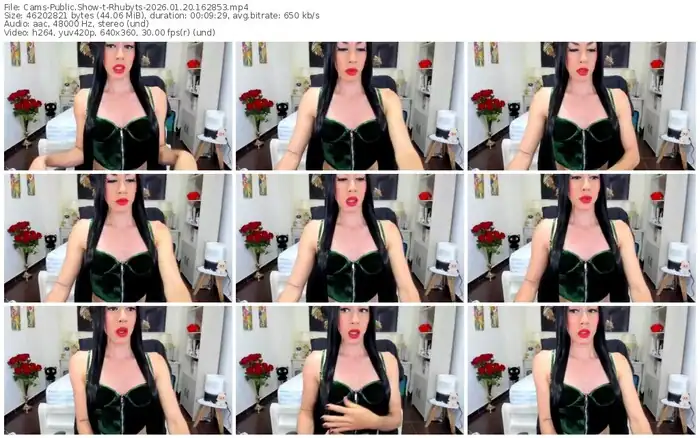 cams-rhubyts-01-20-2026-16-28-53