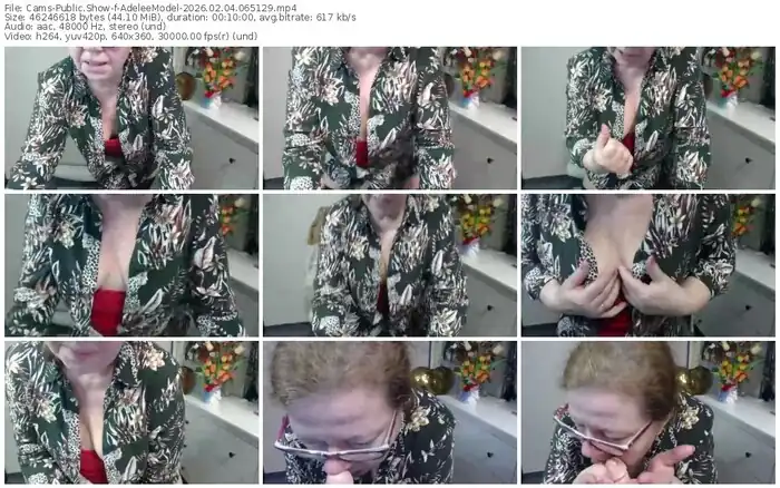 cams-adeleemodel-02-04-2026-06-51-29