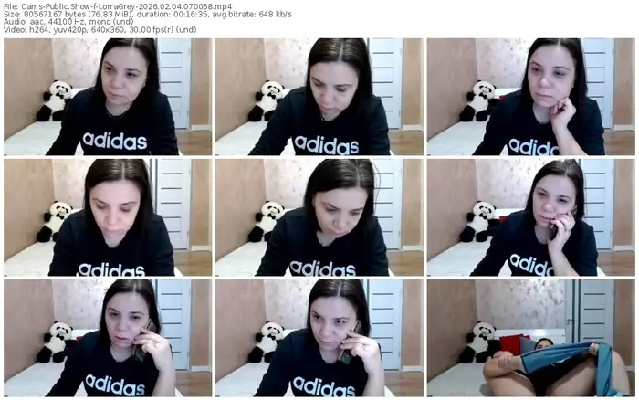 cams-lorragrey-02-04-2026-07-00-58