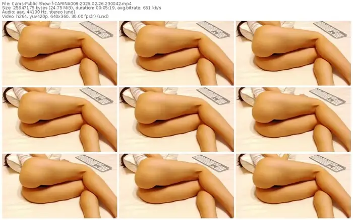 cams-carina008-02-26-2026-23-00-42