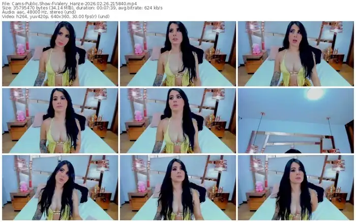 cams-valery_hanze-02-26-2026-21-58-40