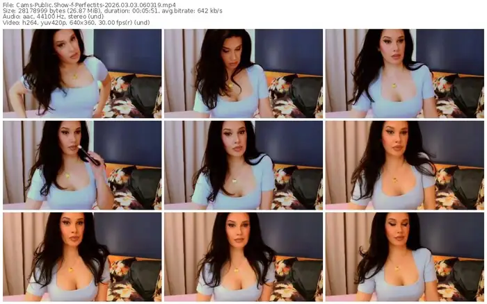 cams-perfectits-03-03-2026-06-03-19