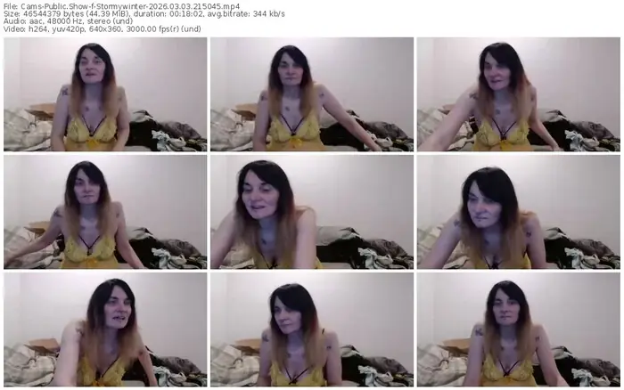 cams-stormywinter-03-03-2026-21-50-45