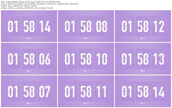 cams-ff_mur-03-04-2026-13-36-00