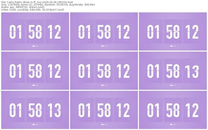 cams-ff_mur-03-04-2026-18-53-24