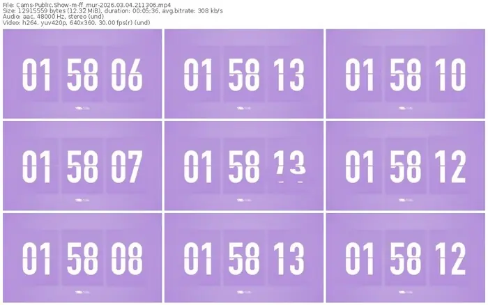 cams-ff_mur-03-04-2026-21-13-06