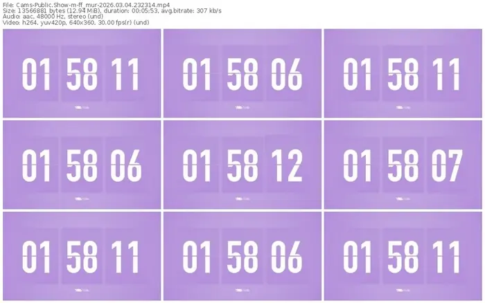 cams-ff_mur-03-04-2026-23-23-14