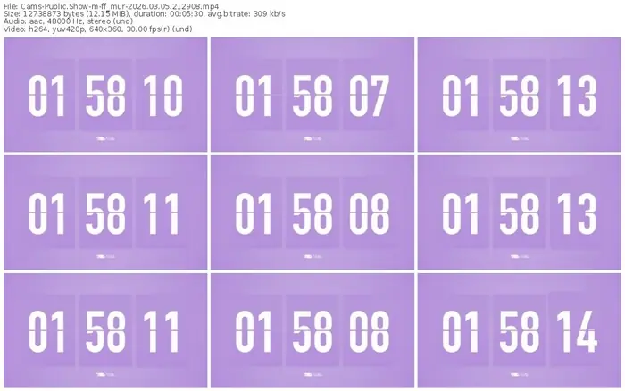 cams-ff_mur-03-05-2026-21-29-08