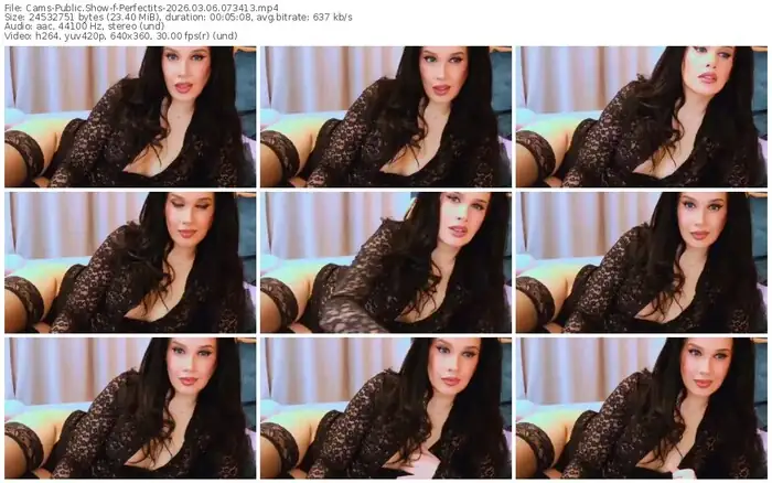 cams-perfectits-03-06-2026-07-34-13