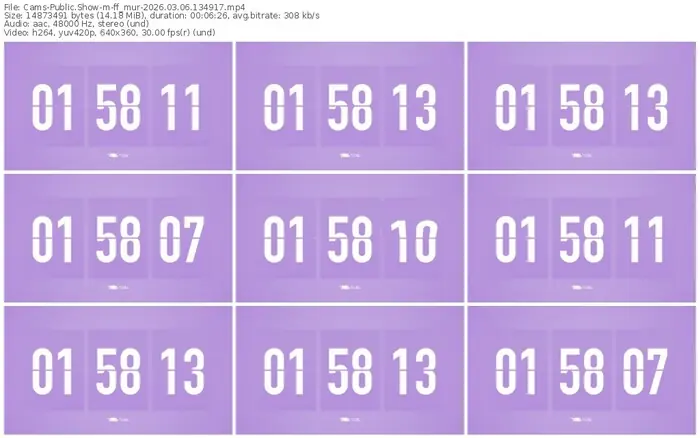 cams-ff_mur-03-06-2026-13-49-17