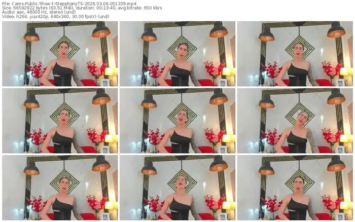 cams-stepphanyts-03-06-2026-05-13-39