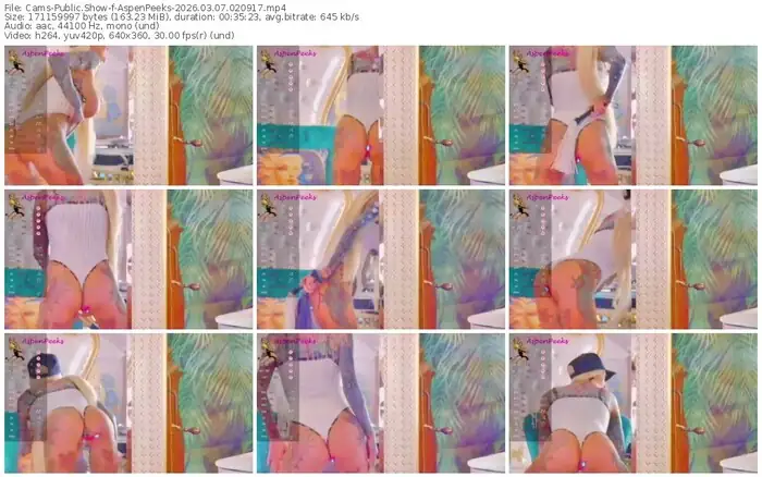 cams-aspenpeeks-03-07-2026-02-09-17