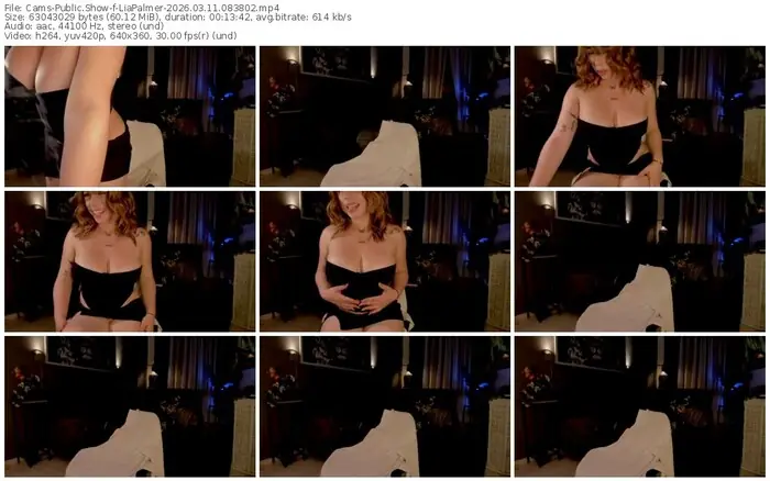 cams-liapalmer-03-11-2026-08-38-02