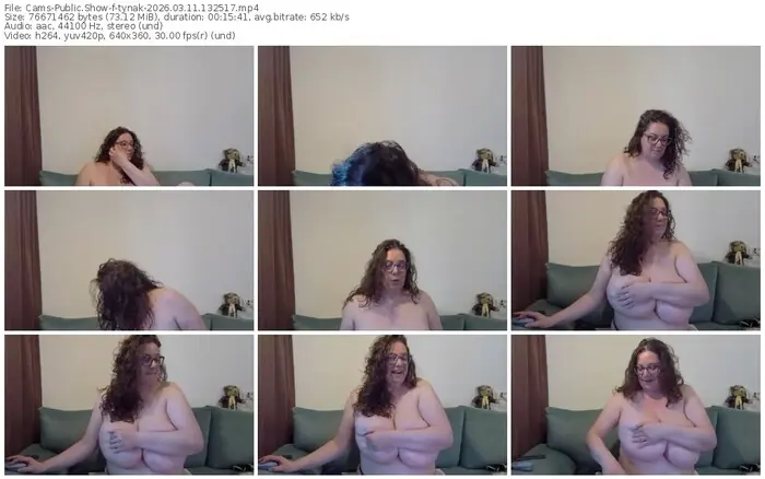 cams-tynak-03-11-2026-13-25-17