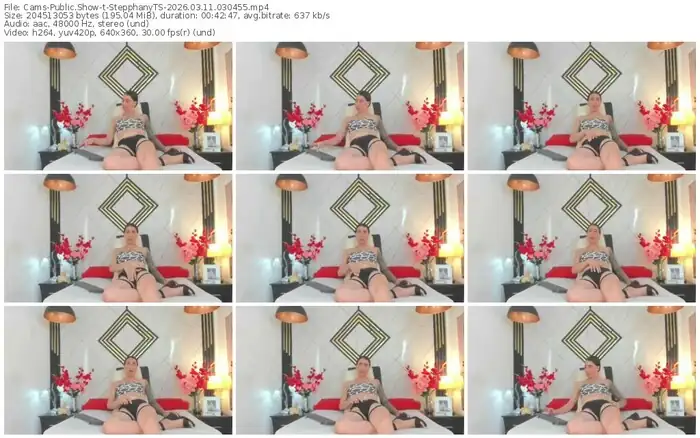 cams-stepphanyts-03-11-2026-03-04-55