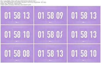 cams-ff_mur-03-12-2026-13-02-37