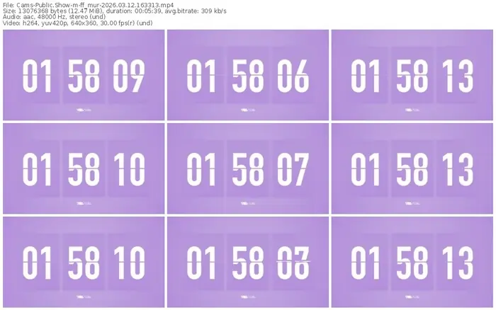 cams-ff_mur-03-12-2026-16-33-13