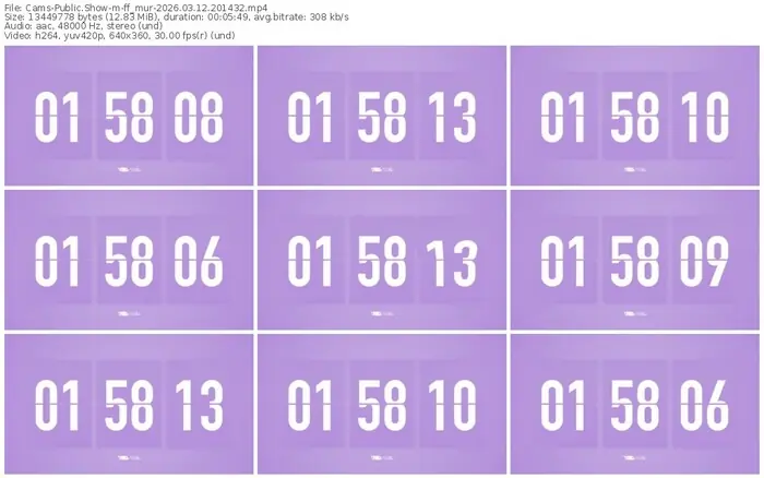 cams-ff_mur-03-12-2026-20-14-32