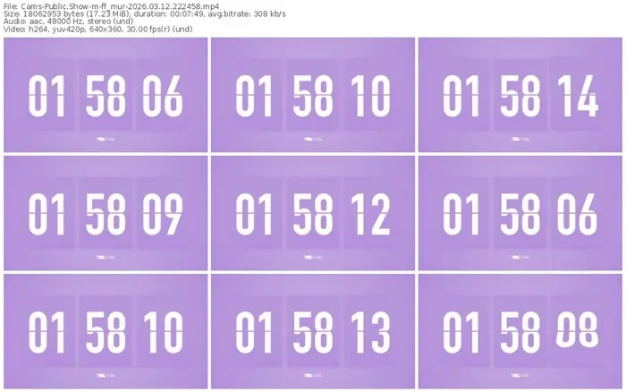 cams-ff_mur-03-12-2026-22-24-58