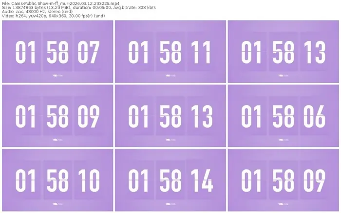 cams-ff_mur-03-12-2026-23-32-26