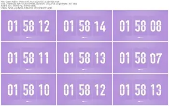 cams-ff_mur-03-12-2026-23-49-29