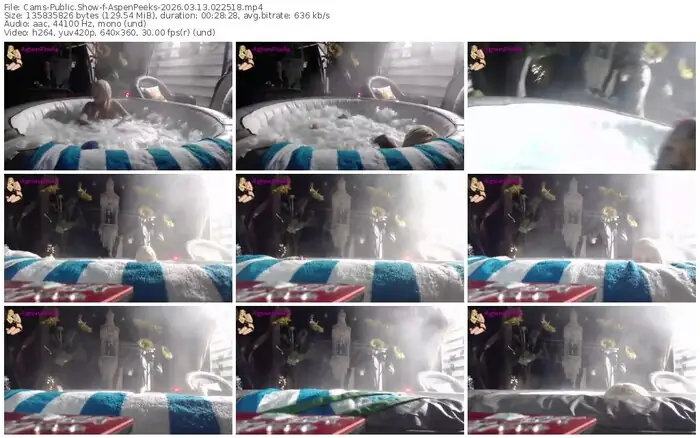 cams-aspenpeeks-03-13-2026-02-25-18