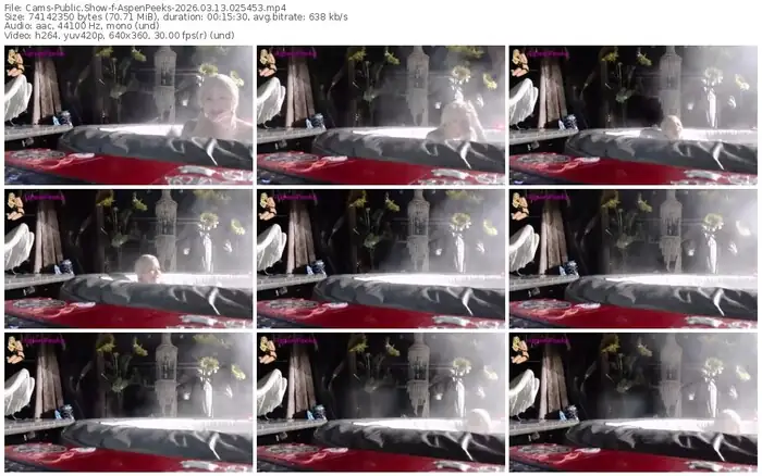 cams-aspenpeeks-03-13-2026-02-54-53