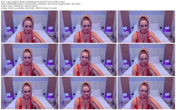 cams-melekkara-03-13-2026-11-35-01