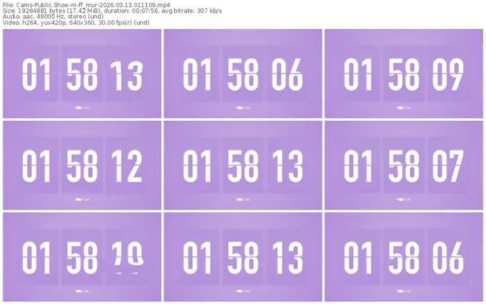 cams-ff_mur-03-13-2026-01-11-09