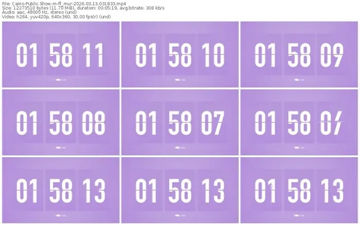 cams-ff_mur-03-13-2026-03-18-33