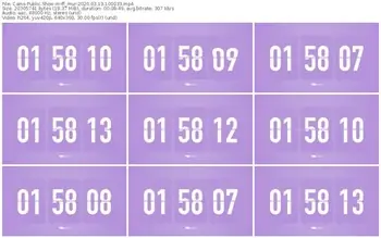 cams-ff_mur-03-13-2026-10-00-33