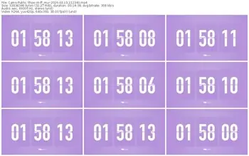 cams-ff_mur-03-13-2026-11-23-40