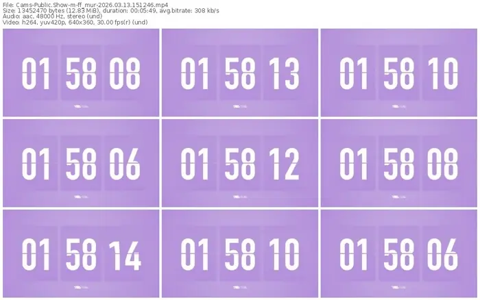 cams-ff_mur-03-13-2026-15-12-46