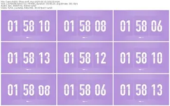 cams-ff_mur-03-13-2026-18-31-33