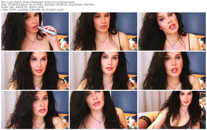 cams-perfectits-03-14-2026-09-24-03