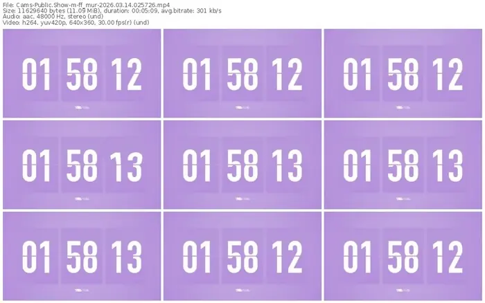 cams-ff_mur-03-14-2026-02-57-26