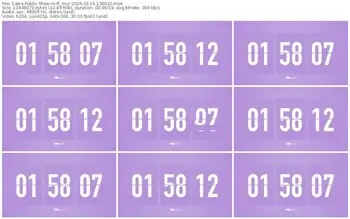 cams-ff_mur-03-14-2026-13-00-22