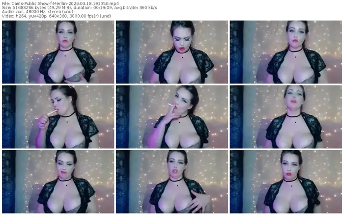 cams-merllin-03-18-2026-19-13-50