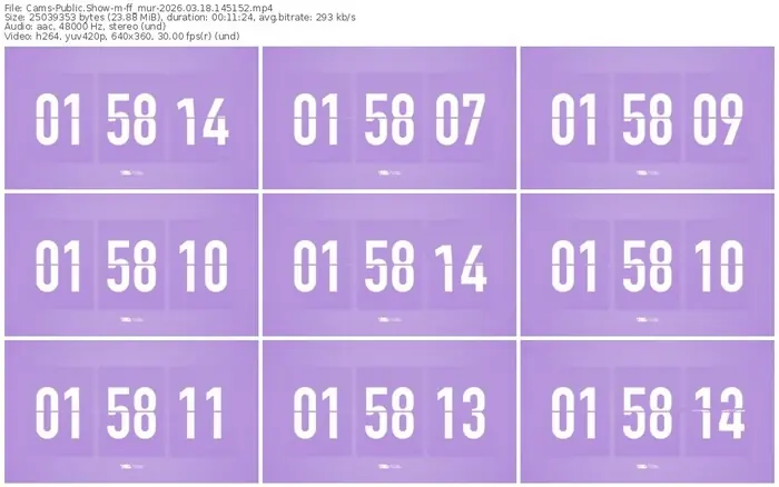 cams-ff_mur-03-18-2026-14-51-52