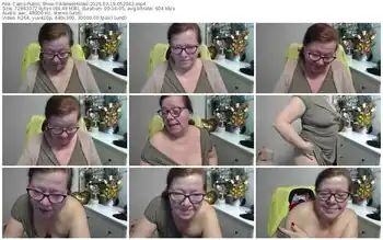 cams-adeleemodel-03-19-2026-05-20-42