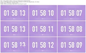 cams-ff_mur-03-19-2026-18-41-29