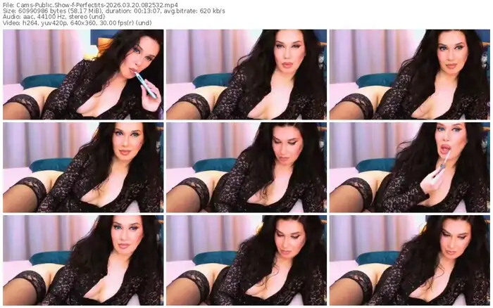 cams-perfectits-03-20-2026-08-25-32