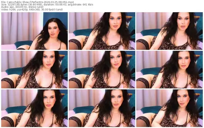 cams-perfectits-03-25-2026-09-19-51