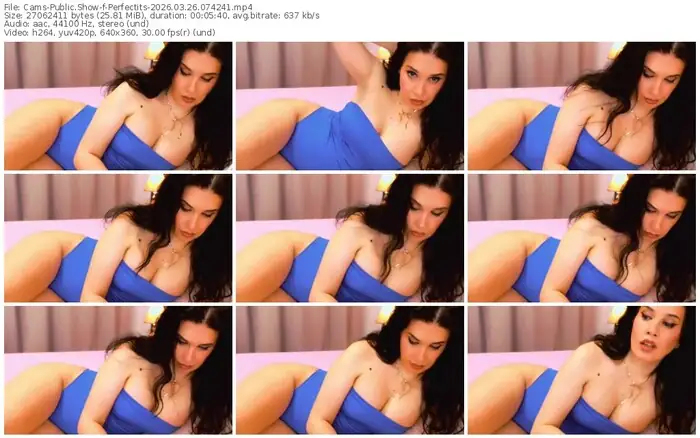 cams-perfectits-03-26-2026-07-42-41